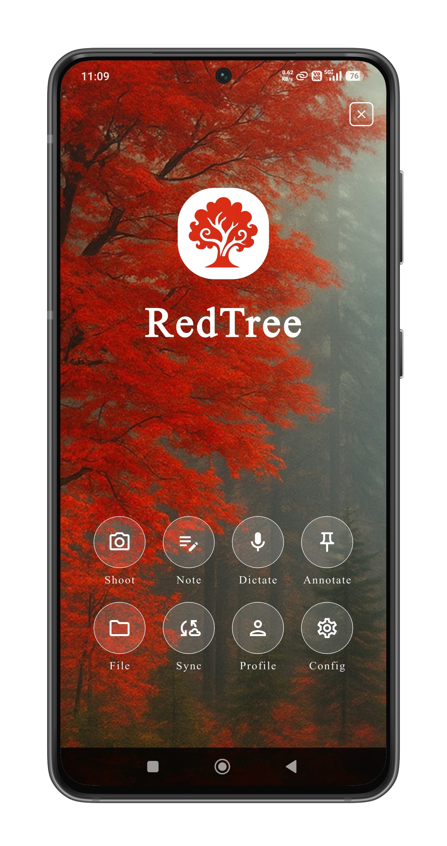 Capture photographique dans RedTree